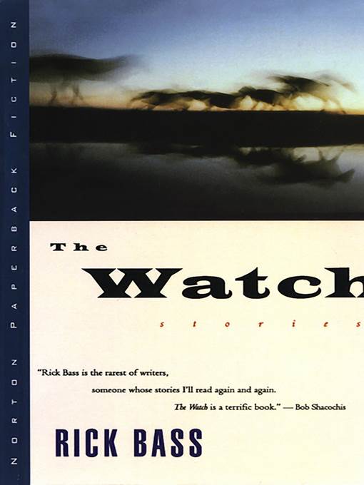 The Watch