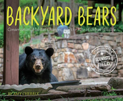 Backyard Bears