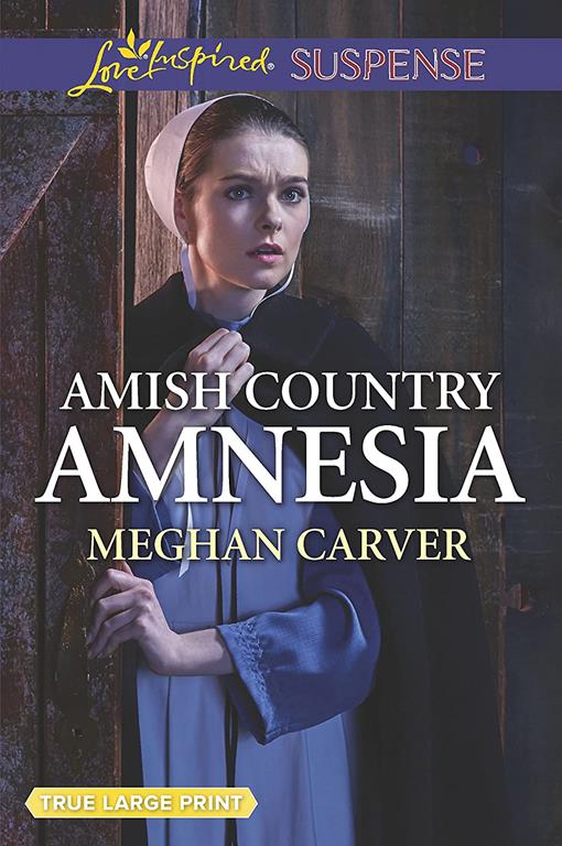 Amish Country Amnesia