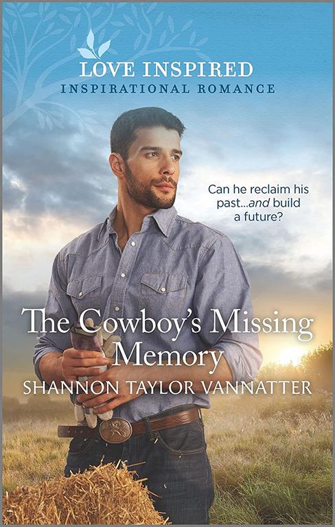 The Cowboy's Missing Memory (Hill Country Cowboys, 2)