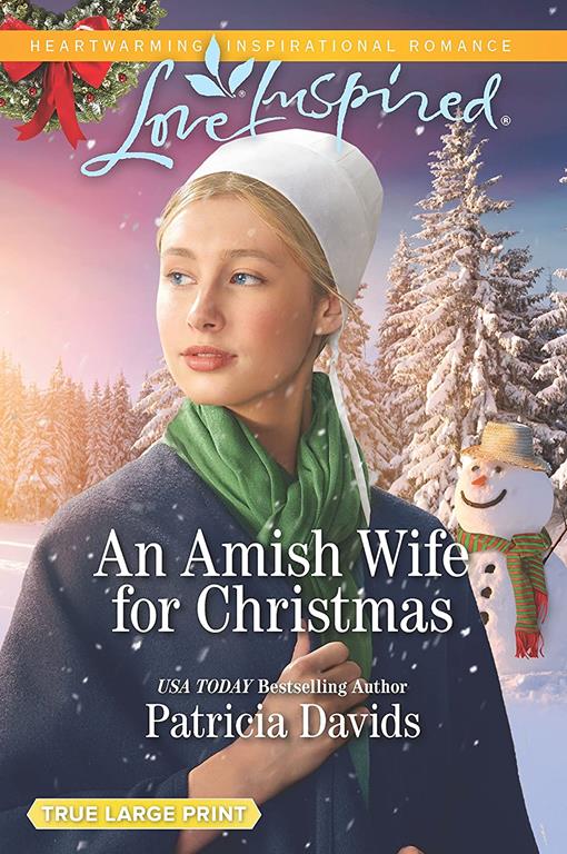 An Amish Wife for Christmas (North Country Amish)