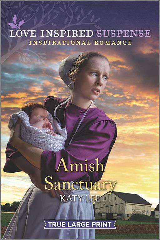 Amish Sanctuary (Love Inspired Suspense)