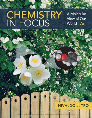 Chemistry in focus : a molecular view of our world