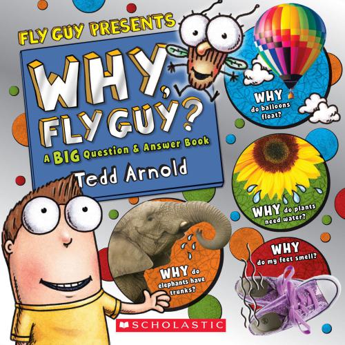 Why, Fly Guy?