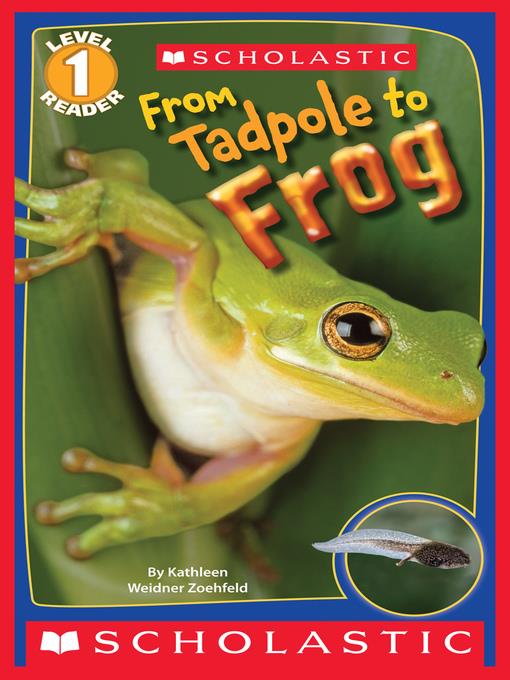 From Tadpole to Frog