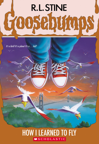 How I Learned to Fly