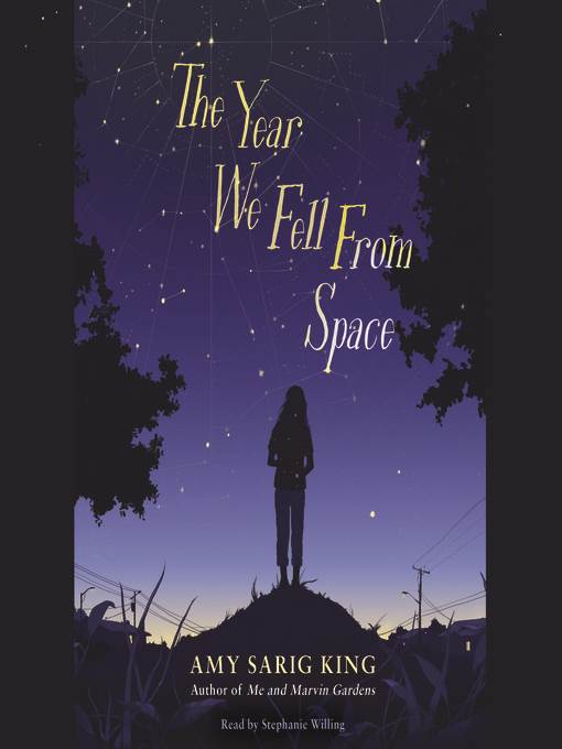 The Year We Fell from Space