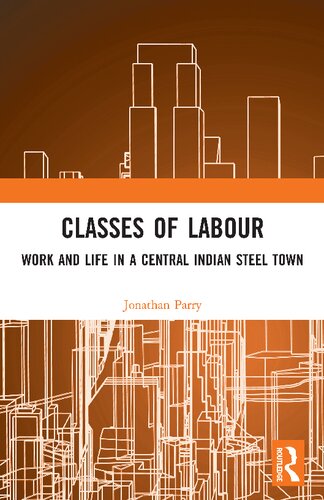 Classes of labour : work and life in a central Indian steel town