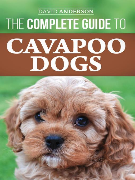 The Complete Guide to Cavapoo Dogs