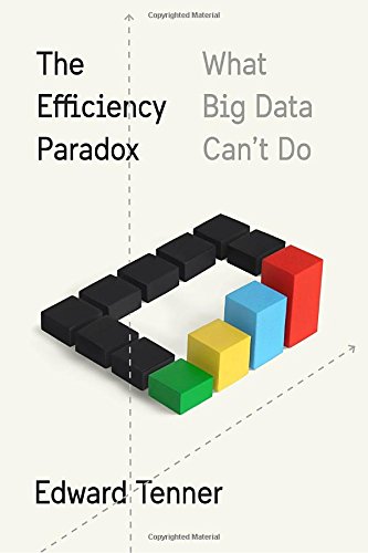 The Efficiency Paradox