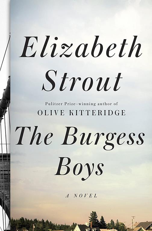 The Burgess Boys: A Novel