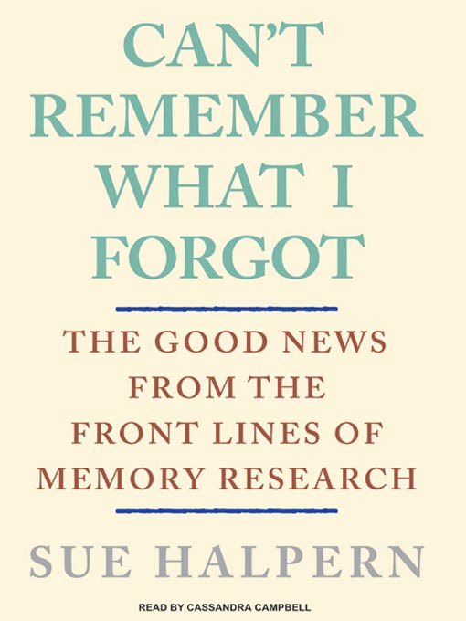 Can't Remember What I Forgot
