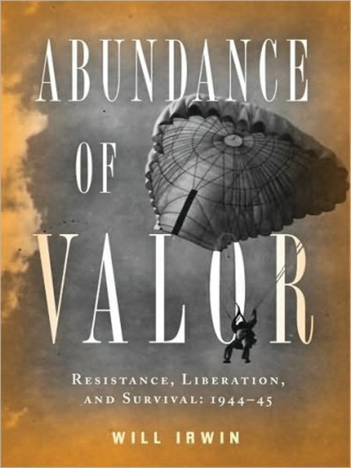 Abundance of Valor