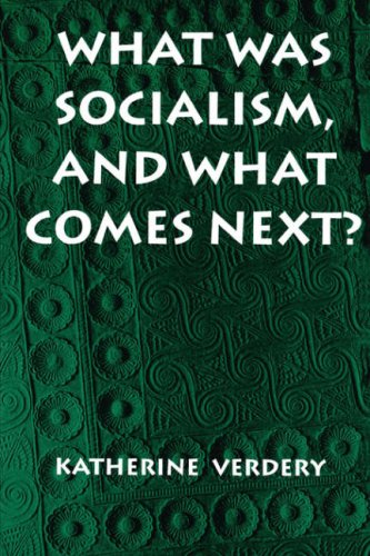 What was socialism, and what comes next?