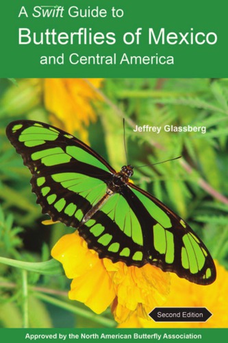 A Swift Guide to Butterflies of Mexico and Central America