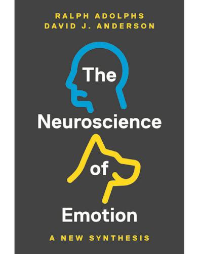 The Neuroscience of Emotion