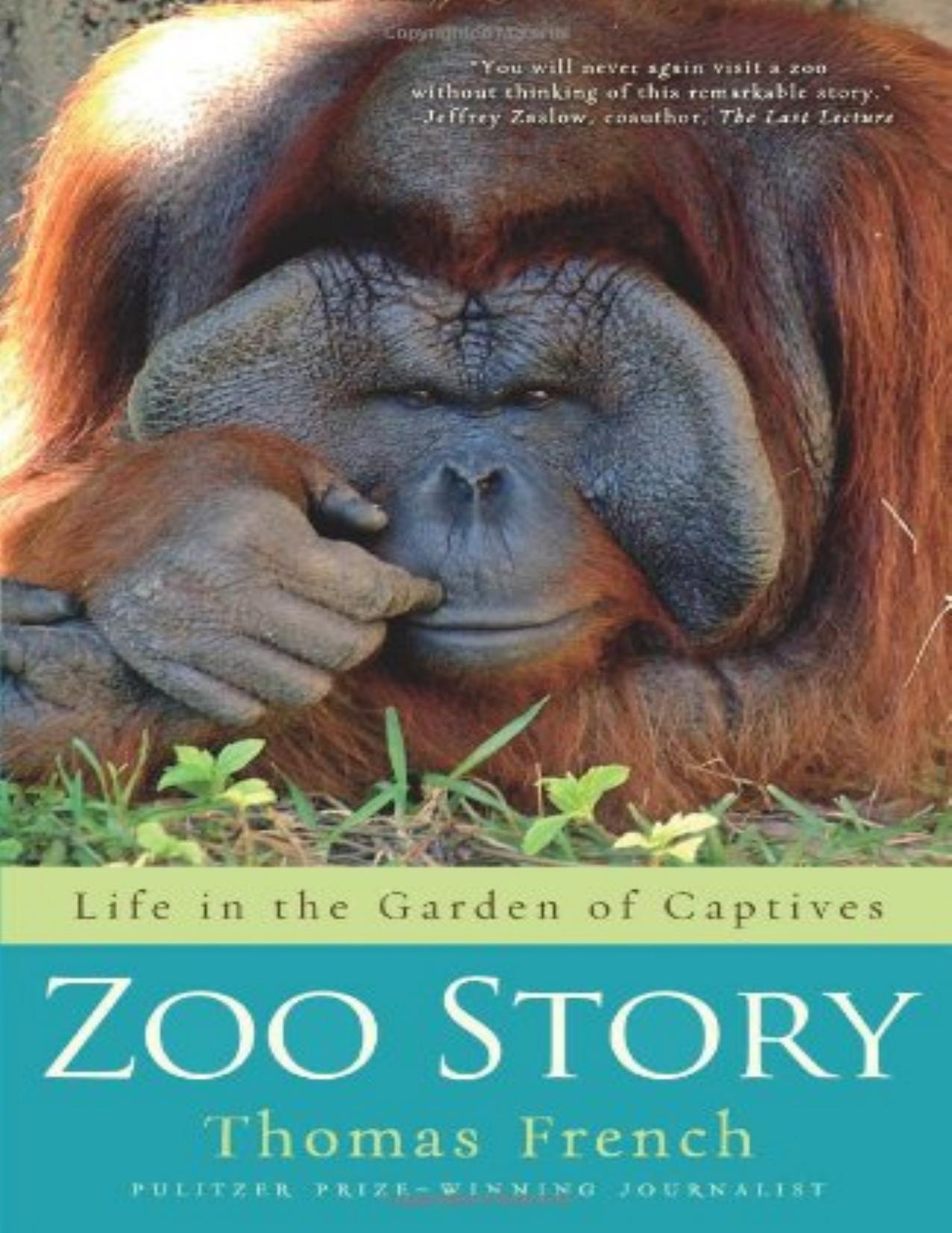 Zoo Story