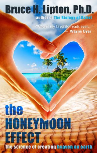 The Honeymoon Effect