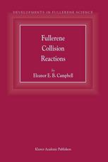 Developments In Fullerene Science, Volume 5