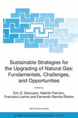 Sustainable Strategies for the Upgrading of Natural Gas