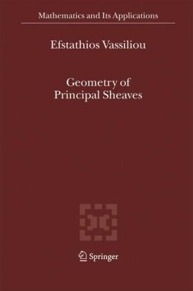 Geometry of Principal Sheaves