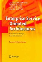 Enterprise Service Oriented Architectures