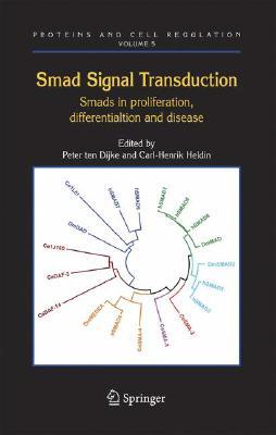 Smad Signal Transduction