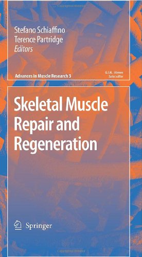 Skeletal Muscle Repair and Regeneration