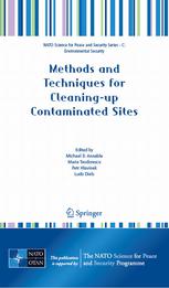 Methods and Techniques for Cleaningup Contaminated Sites