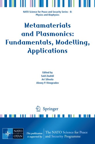 Metamaterials and Plasmonics