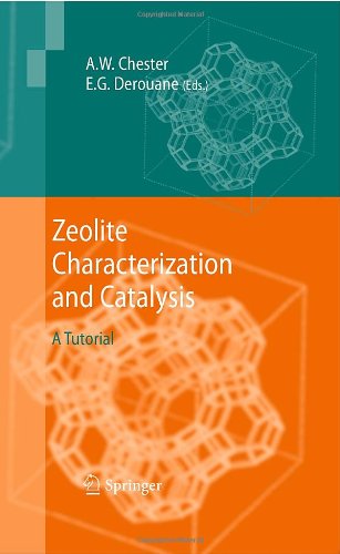 Zeolite Characterization and Catalysis