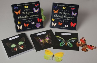 The Exquisite Butterfly Companion