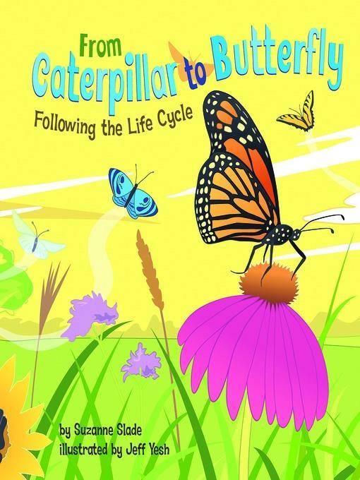 From Caterpillar to Butterfly