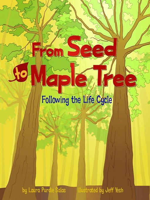 From Seed to Maple Tree