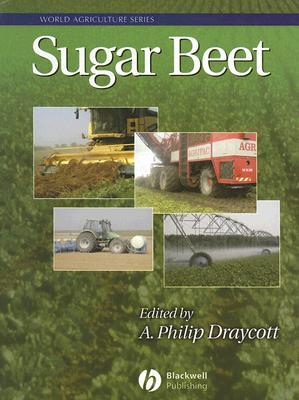 Sugar Beet