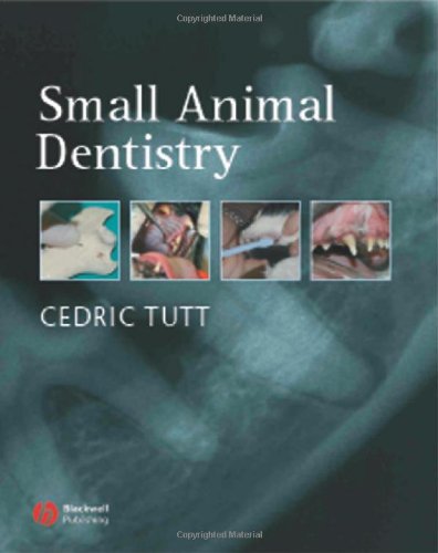 Small Animal Dentistry