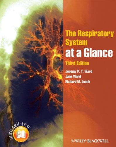 The Respiratory System at a Glance