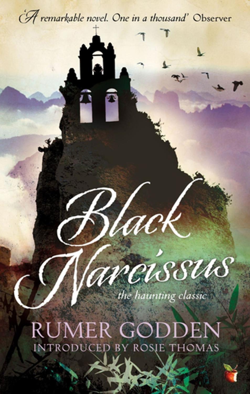 Black Narcissus (Virago Modern Classics #158)