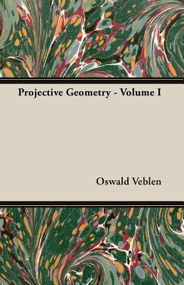 Projective Geometry   Volume I