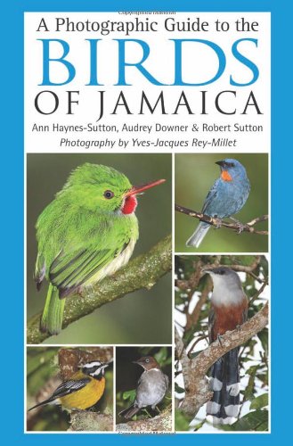 A Photographic Guide To The Birds Of Jamaica