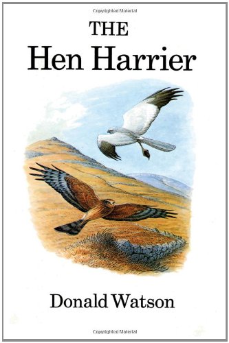 The hen harrier