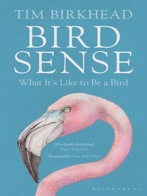 Bird Sense