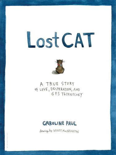 Lost Cat