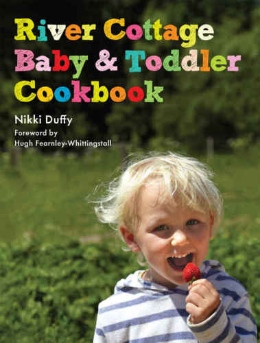 River Cottage Baby and Toddler Cookbook