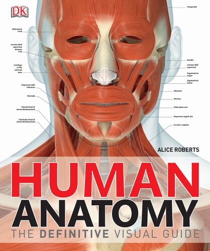 Human Anatomy