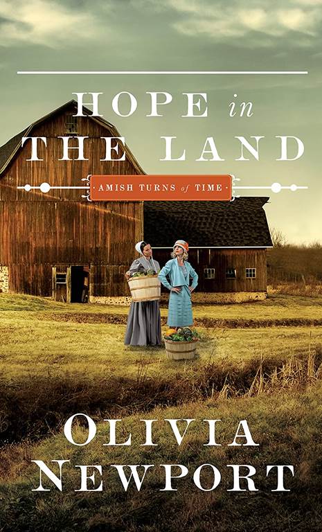 Hope In The Land (Thorndike Christian Romances)