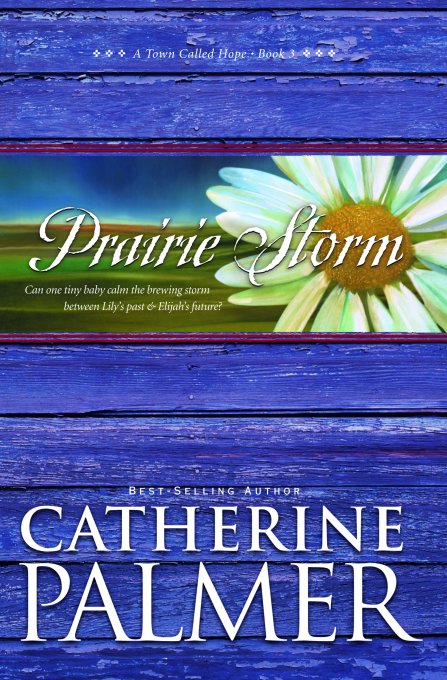 Prairie Storm (A Town Called Hope)