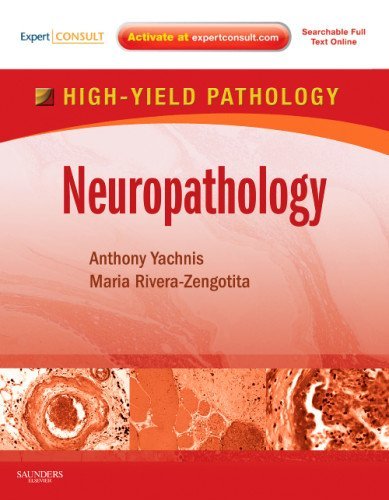 Neuropathology