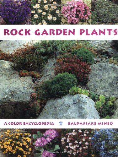 Rock garden plants : a color encyclopedia