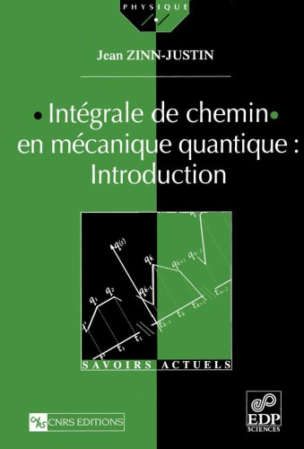 Intégrale de chemin en mécanique quantique : introduction